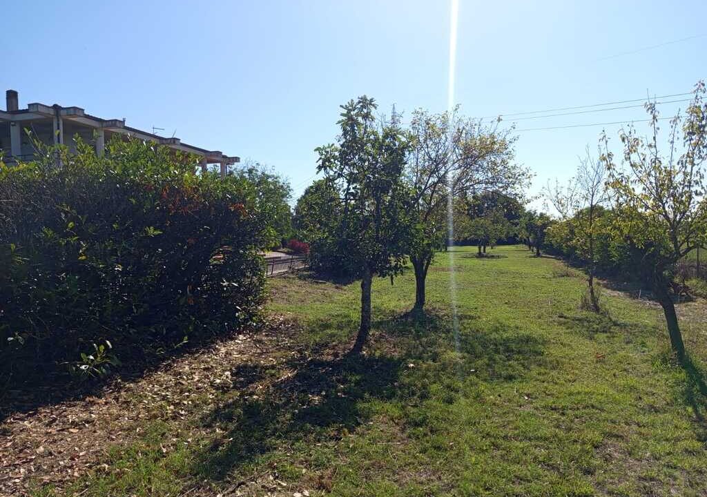 WhatsApp Image 2026-04-01 at 12.54.50(7)