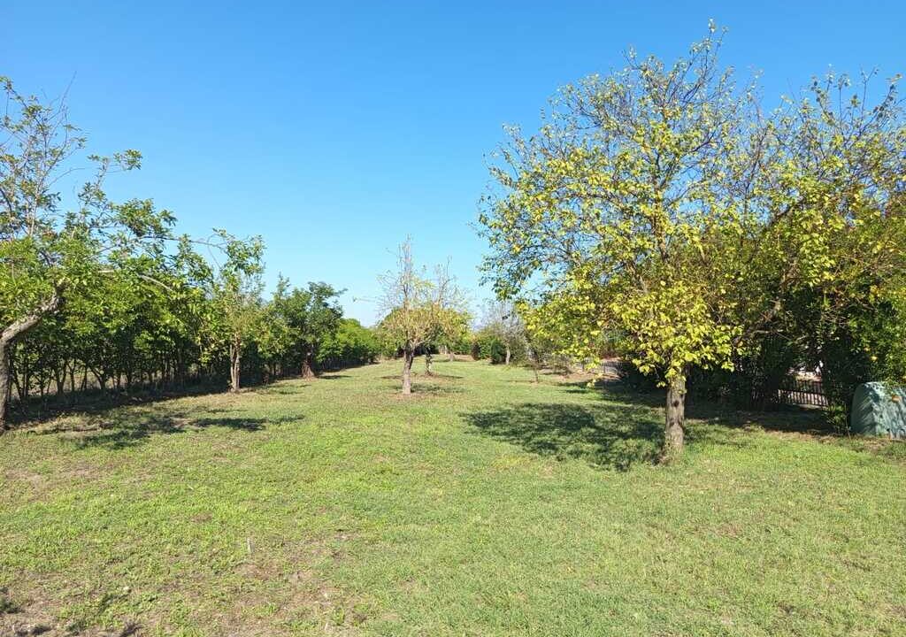 WhatsApp Image 2026-04-01 at 12.54.51