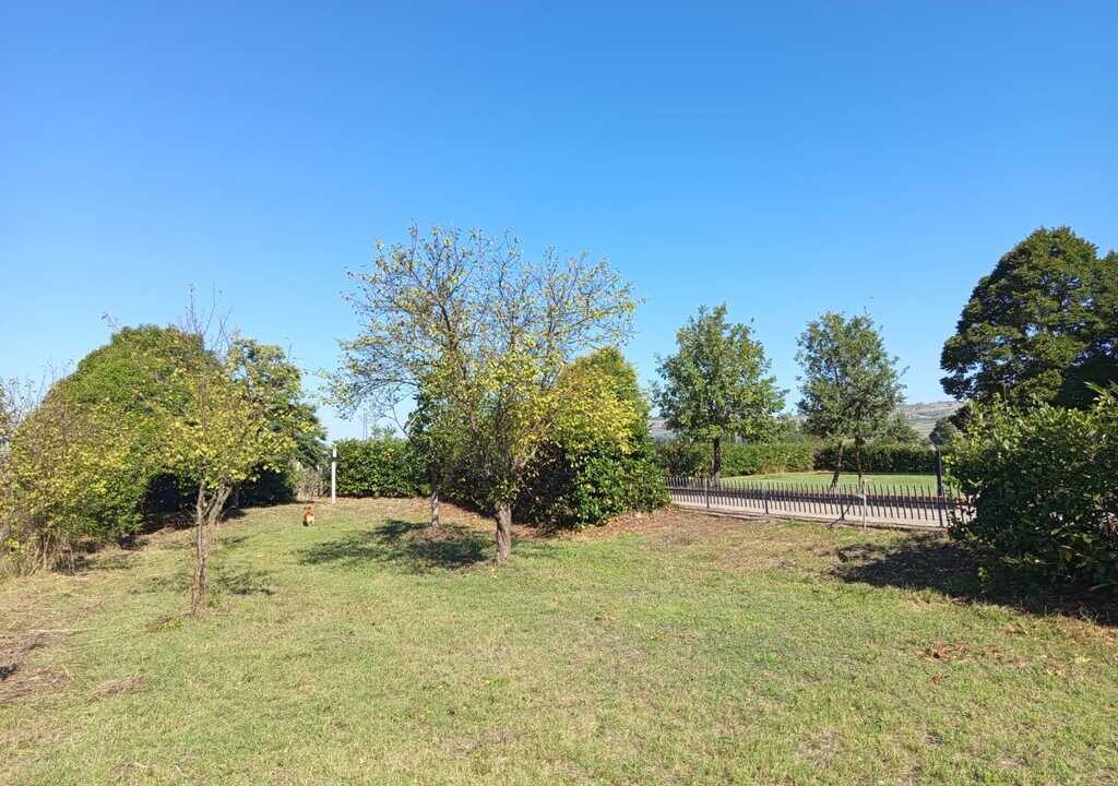 WhatsApp Image 2026-04-01 at 12.54.51(5)