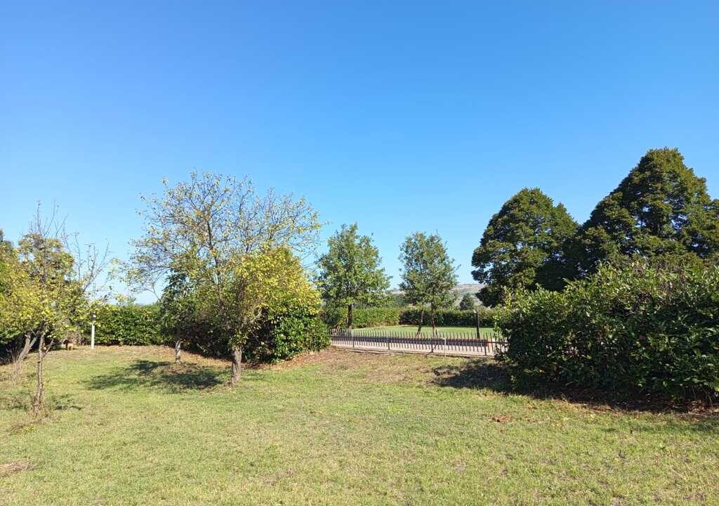 WhatsApp Image 2026-04-01 at 12.54.52(5)