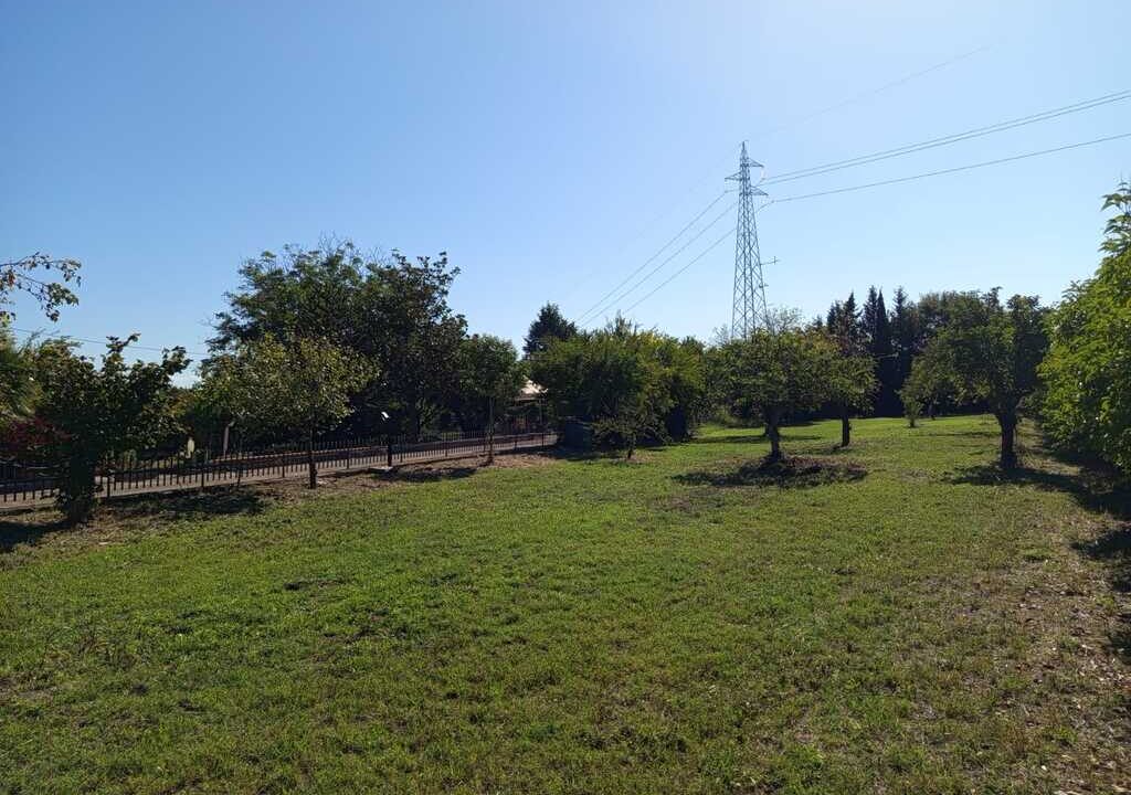 WhatsApp Image 2026-04-01 at 12.54.52(7)