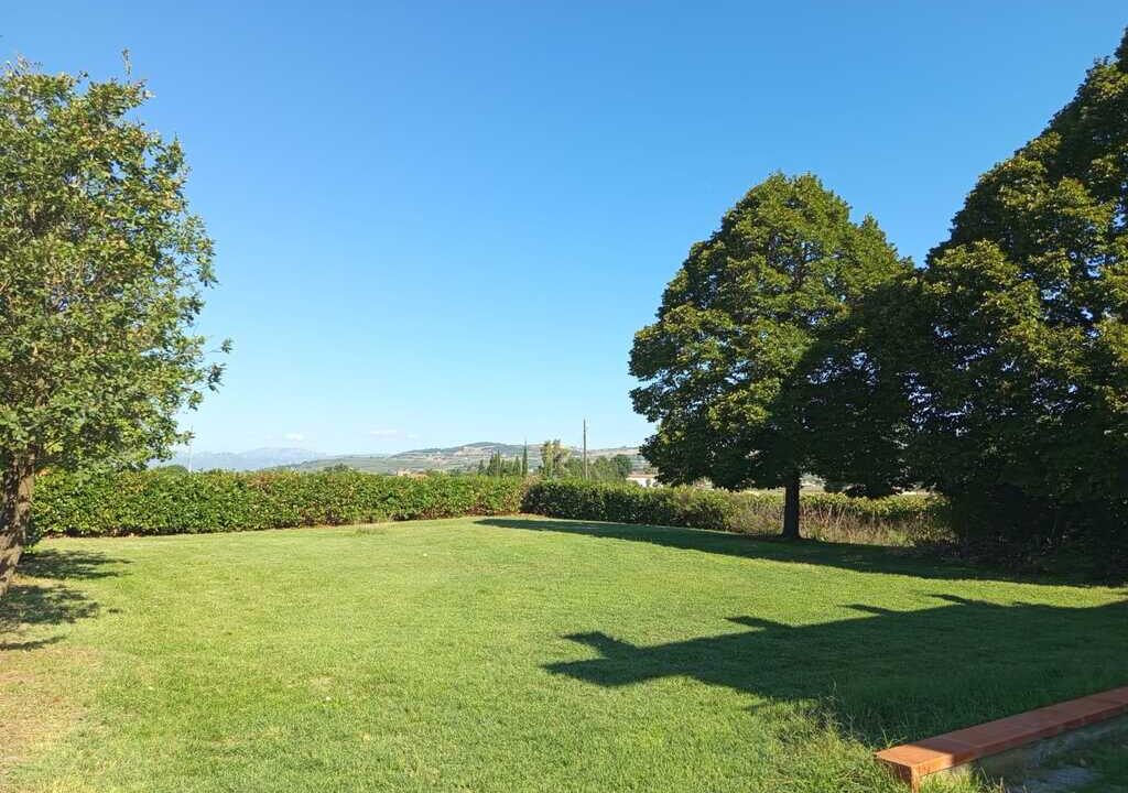 WhatsApp Image 2026-04-01 at 12.54.53