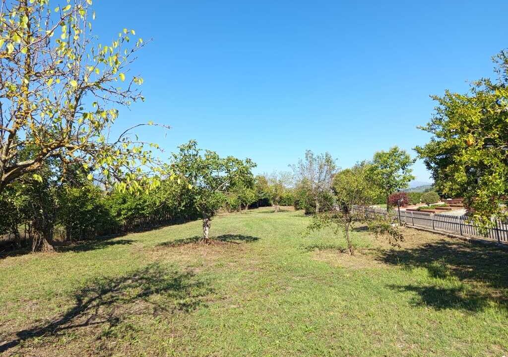 WhatsApp Image 2026-04-01 at 12.54.53(1)