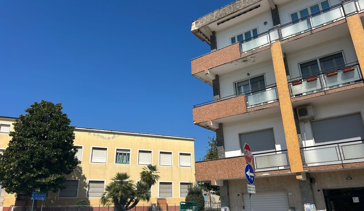 WhatsApp Image 2026-04-20 at 13.49.48