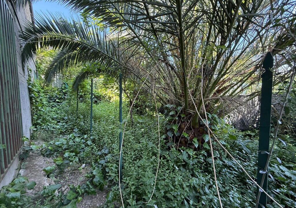 WhatsApp Image 2026-04-21 at 12.34.34(9)